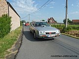 Zandlemig Vlaanderen